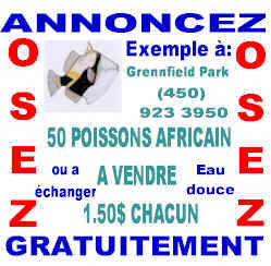 NE-PAS-RESTER-SEUL.jpg (15432 octets)