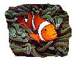 SCUBA-DIVING.gif (5868 octets)