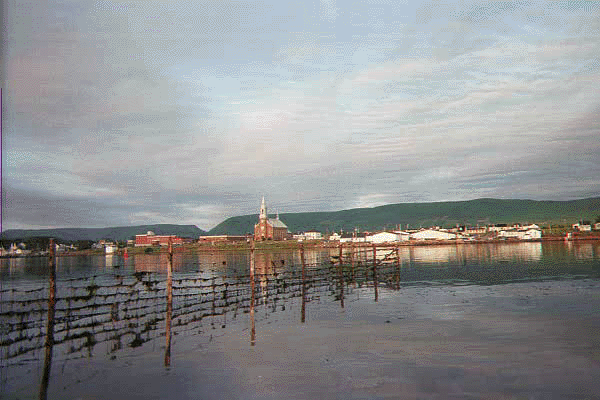 cheticamp.IMAGE.jpg (134675 octets)